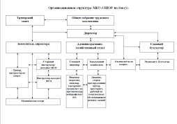 Организационная структура МБУ«СШОР по боксу»